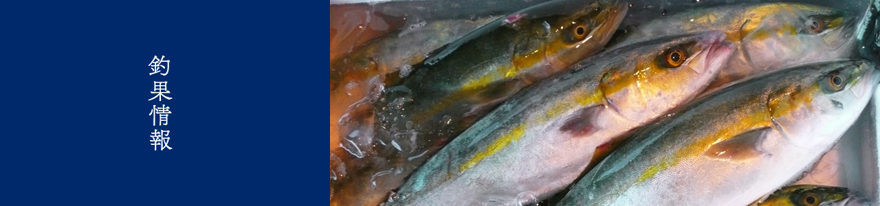 釣果情報