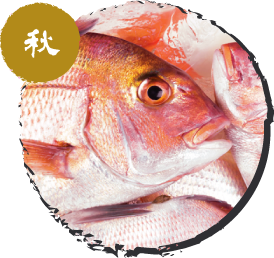 真鯛