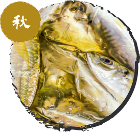 秋アジ