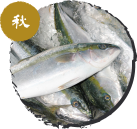 ワラサ