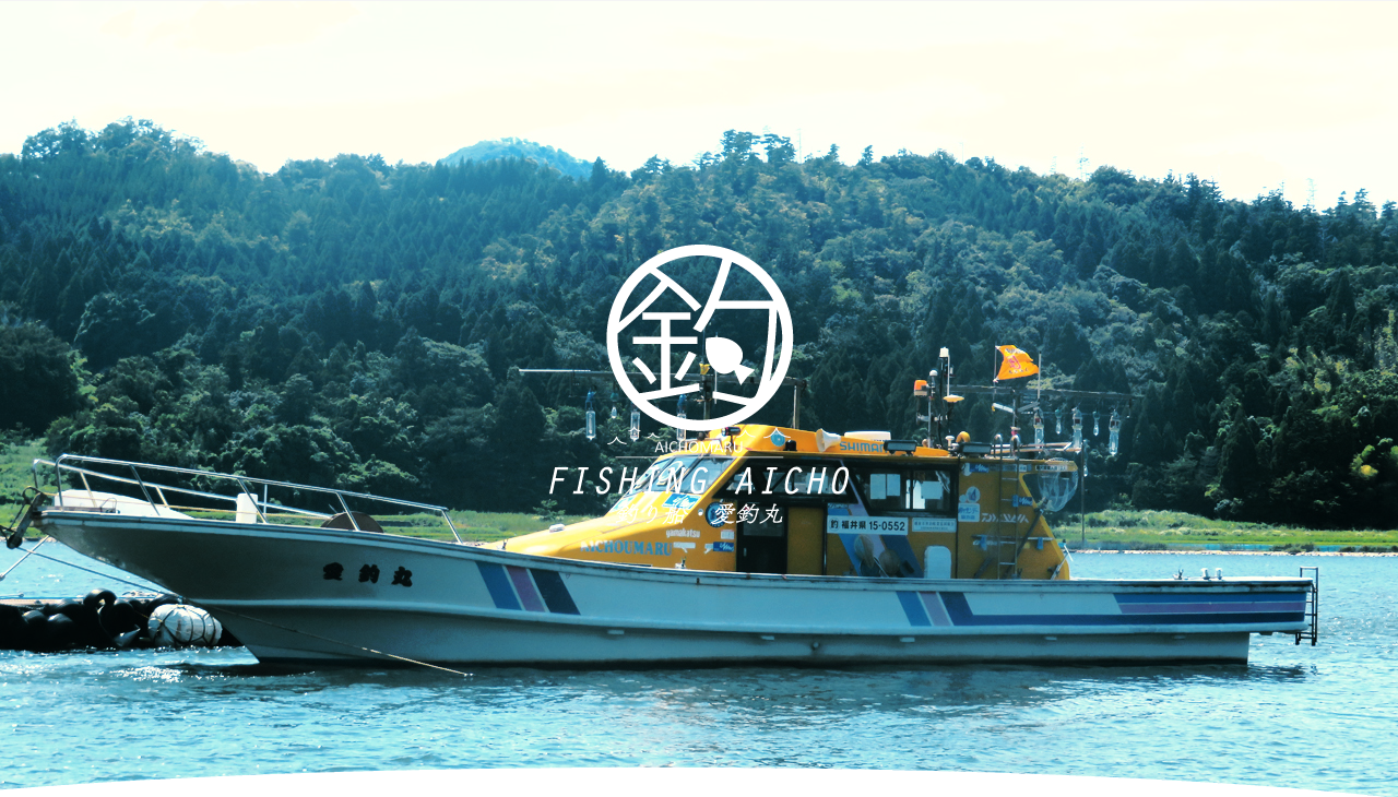 釣船愛釣