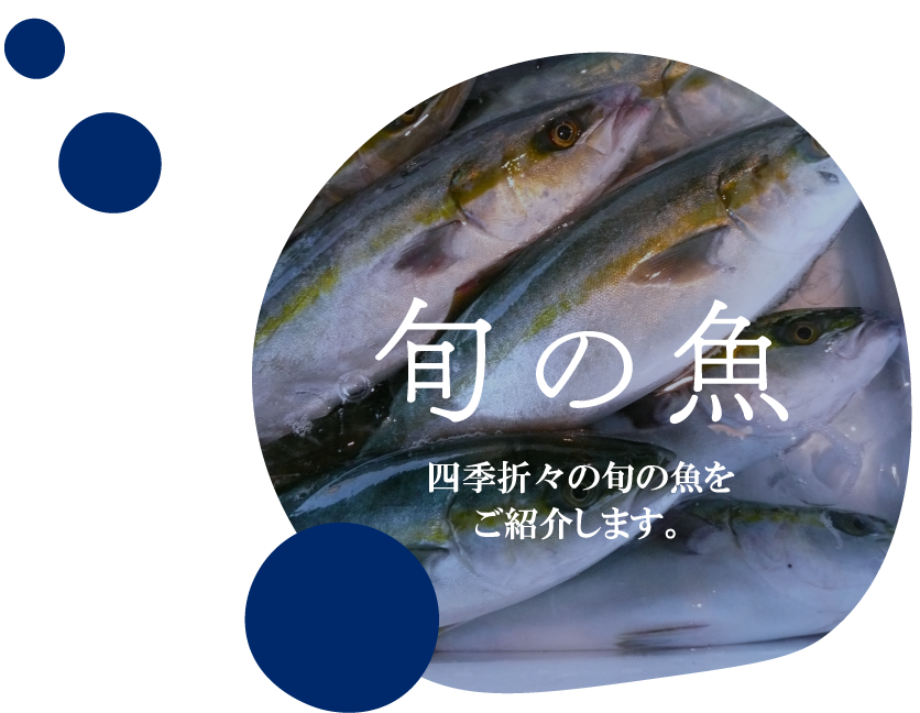旬の魚 四季折々の旬の魚をご紹介します。