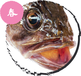 黒ソイ