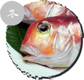 若狭ぐじ