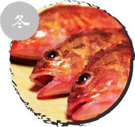 ガシラ