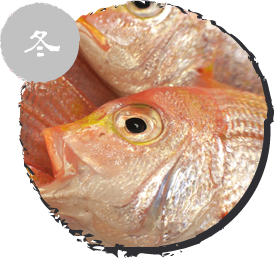 レンコダイ