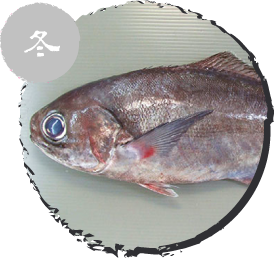 メダイ
